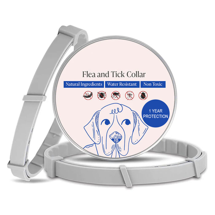 Pet Collar