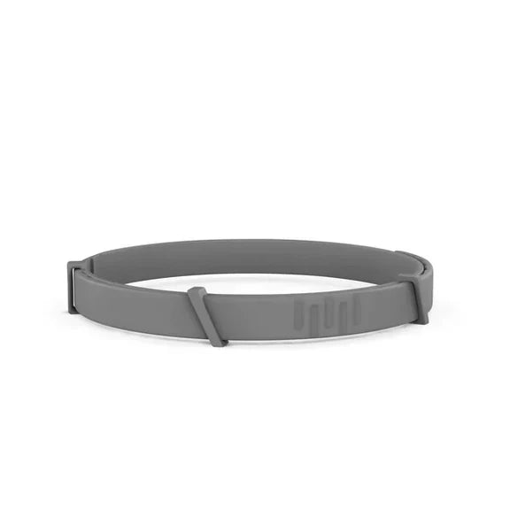 Pet Collar